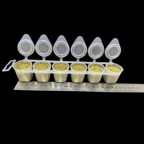 Altın Sarısı Sim Tozu (60 Gram)